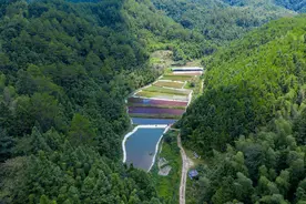 福建松溪：昔日荒野田，今朝“聚宝盆”图片