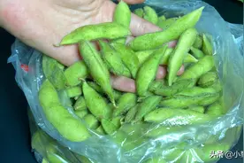 保存毛豆不要焯水，也别直接放冰箱，菜农教我一招，放一年都新鲜图片