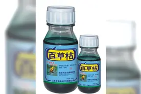 给你充足的时间去后悔，却不给你活命的机会，剧毒百草枯图片