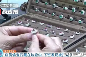 连云港 店员偷走宝石藏在垃圾中被人扫走  目前仍未找到图片