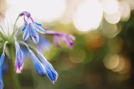 有一种爱没有结局，你爱得很痛苦，可能怪不了其他人图片