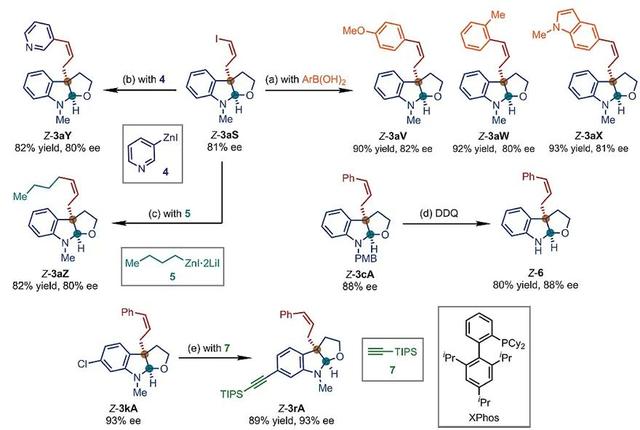 “铱”顺百顺——铱催化Z式保留不对称烯丙基取代反应