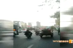 "策马奔腾"再现街头！还闯红灯太危险图片