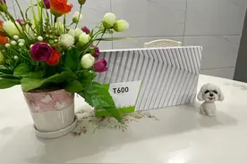 丽台T600测试，专业显卡沦落到打游戏，性价比竟然比游戏卡还高图片