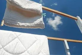 为什么太阳晒过的被子有一股特别的香味？图片