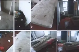 杭州95后姑娘带2条贵宾犬租房！3个月后，房内传来一股恶臭图片
