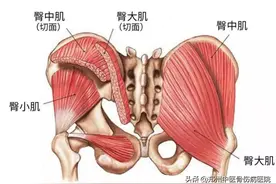 在家就能学！几个动作舒缓你的髂腰肌疼痛图片