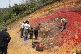 客家风俗之二次葬图片