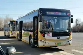 哈尔滨公交257路开通！途经哈西群力，配置空调车！551路恢复推迟图片