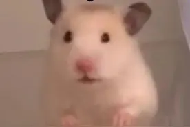 荔枝加酱油的冷门吃法，居然能让人上瘾，真的有那么好吃？图片