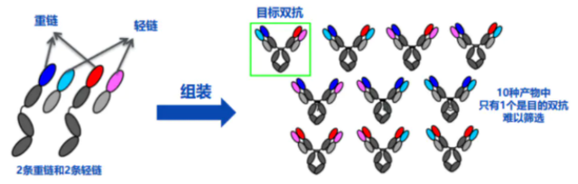单抗看靶点，双抗看平台——安进、赛诺菲、罗氏双抗平台解析