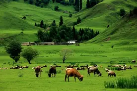 去看草原上的日出、日落和星空图片