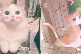 同一件毛衣却穿出了两个感觉，粉色还真是神奇图片