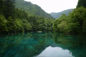 4个星座，好脾气的楷模，温和善良，温柔随和，深受欢迎图片