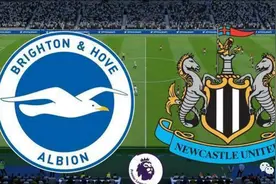 英超37轮：布莱顿VS纽卡斯尔联，比分预测图片