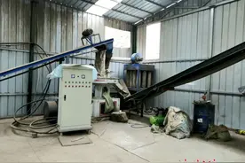 三个年轻人的“绿色梦”——甘肃盛强新能源环保科技有限公司发展生物质颗粒燃料产业侧记图片