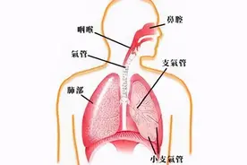 男子喝假酒导致甲醇中毒，医生：买真白酒接着喝！图片