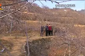 国家扶贫日——追忆“太行新愚公”李保国：用科技之手“点石成金”图片