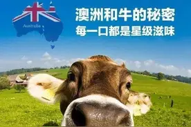 牛排中的“爱马仕”-澳洲和牛牛排图片
