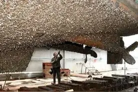 航母为什么要定期清理船底？想玩好Steam游戏必须掌握维修船技巧图片