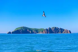 威海有座岛是“鸥鹭王国”，可乘船喂海鸥，游客：遗憾不能登岛图片