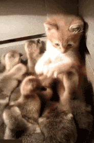 武汉皮肤科汗孔角化