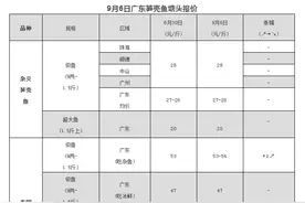 利润20多元/斤的笋壳鱼，你不了解一下吗？图片