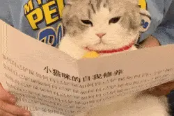 表情包｜今天学习了吗图片