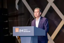 王祥明重塑华润置地图片