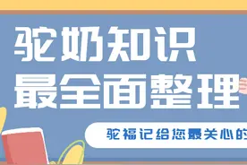 关于大家最关心骆驼奶粉的知识，看这一篇就够了(建议收藏)图片