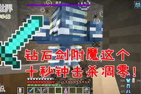 我的世界生存43：钻石剑加这项附魔，击杀凋零竟只需十秒钟！爽！视频封面