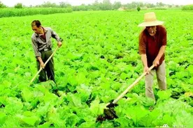 新式“电动锄头”来了，农民们有福了，轻松除草干农活，特高级图片