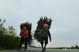 农村俗语：“借米不借柴，借衣不借鞋”，柴和鞋有什么讲究？图片
