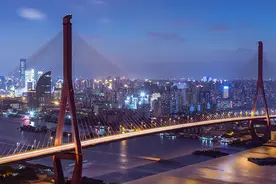 晨读 | 杨浦大桥，栏杆拍遍图片