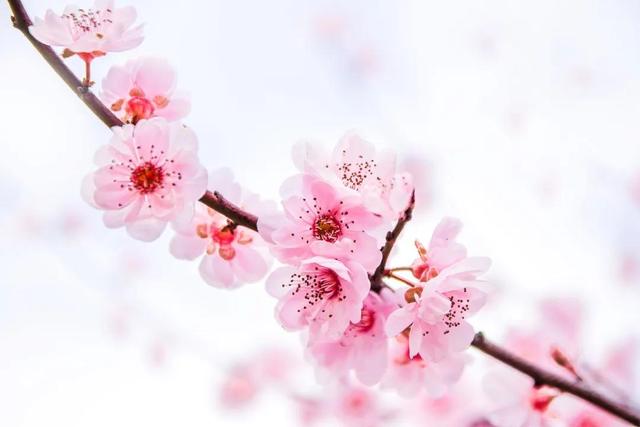 全部的成语！收藏起来，回家教给孩子