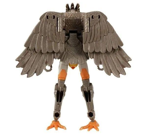 飞箭勇士&恐龙勇士来了，王国系列多款新品官图更新