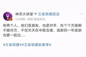 年限皮肤曝光！诸葛亮年限实锤，公孙离或许是传说，周瑜抱头痛哭图片