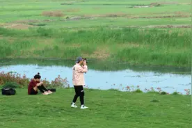 伊河：青青河边草图片