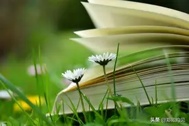 写给敏感自卑的你，5个超实用建议图片