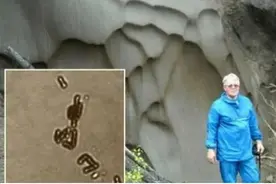 科学家给自己注射了350万年前的细菌，最后成功了吗？让人意外图片