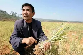 越南有麻烦了，2980亿订单无人买，如今希望中国“回心转意”。图片