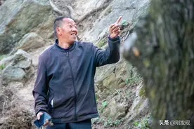 家住大山深处，三十年听鸟语学鸟叫，能把成群的“金凤凰”哄下山图片