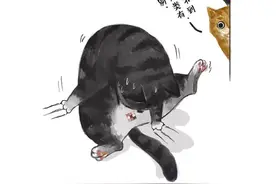 一个关于吾皇减肥的励志故事图片