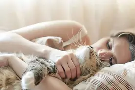和猫咪睡觉竟有这6点好处，家里有猫的：亏了图片