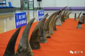 案值约1亿元！厦门海关查获一走私船，11人被抓！现场直击图片