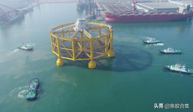 花胶产地是哪里的好 花胶产地在哪里