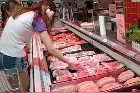 “猪队友”越来越多 养猪是门好生意吗图片