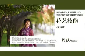 【技能培训】花艺技能培训（六）——插花中的色彩搭配及餐桌花艺图片