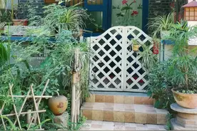 遇见·隐舍——藏在德阳闹市院落里的情怀记忆图片