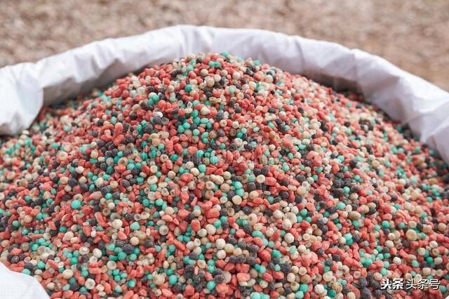 种植户注意，氨基酸肥不等于腐植酸肥，二者差距不小，不要弄混